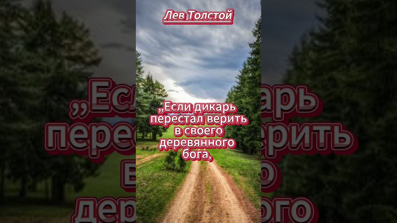 #shorts. Если дикарь..Толстой смотреть онлайн