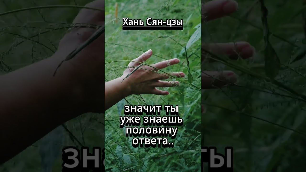 shorts Хань Сян- Дзы. Если ты задаёшь вопрос.. смотреть онлайн