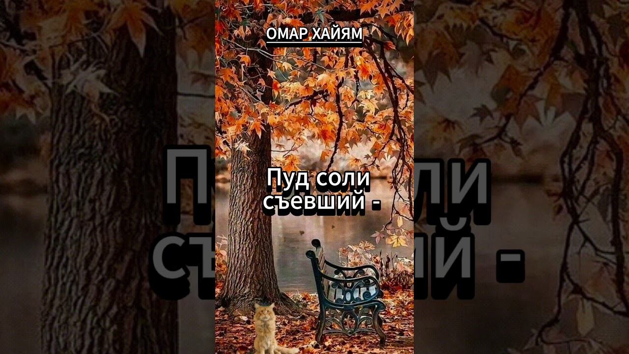 #shorts Омар Хайям. Кто жизнью бит... смотреть онлайн