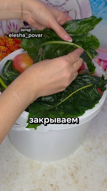 Квашеные помидоры как в бочке смотреть онлайн