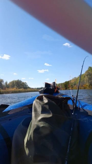 вмордувинд билюта лайт