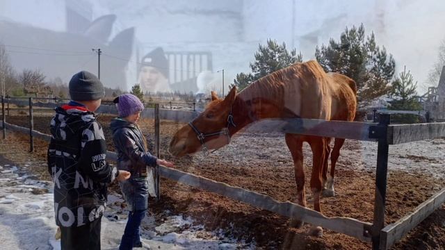 ПРЕЗЕНТАЦИЯ ВОСКРЕСНОЙ ШКОЛЫ смотреть онлайн