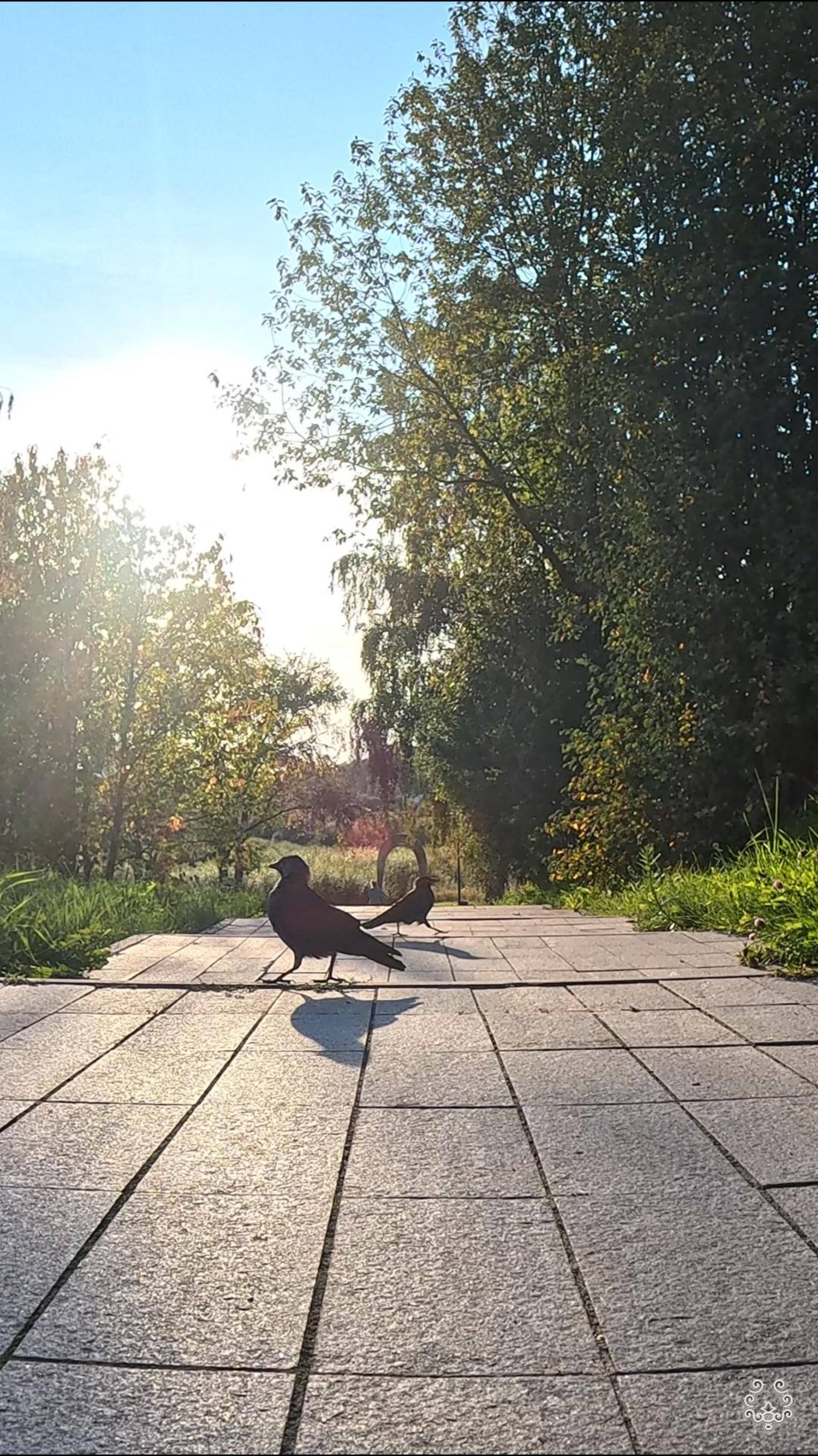 Всем привет и хорошего настроения. смотреть онлайн