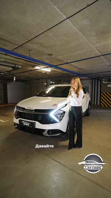 Лучший кроссовер Sportage или Santa Fe? смотреть онлайн