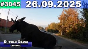 ДТП. Подборка на видеорегистратор за 26.09.2025 Сентябрь 2025