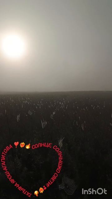 Солнце, солнышко свети!