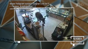 Видео недели: корова-сладкоежка; пьяная шаманка. Человек и закон. Фрагмент выпуска от 26.09.2025