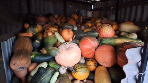 Жизнь деревенская, повседневная. Здравствуйте.Всем хорошего денёчка.