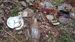 Коп по войне. Гельмут Вайссвальд. Фильм 479.