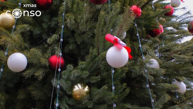 Реализованный проект 2024-2025, г. Тамбов