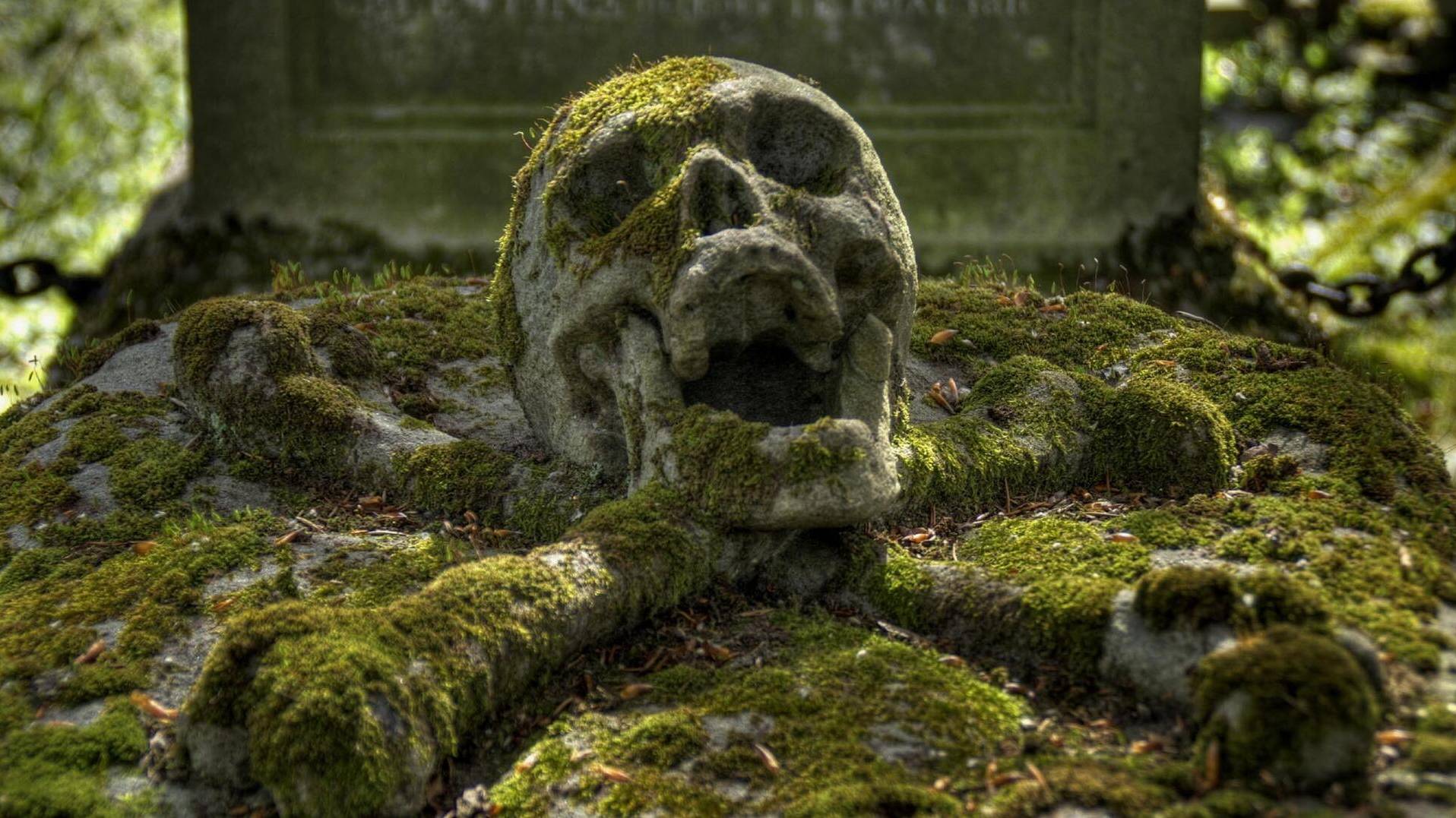 mortification-lymphosarcoma смотреть онлайн