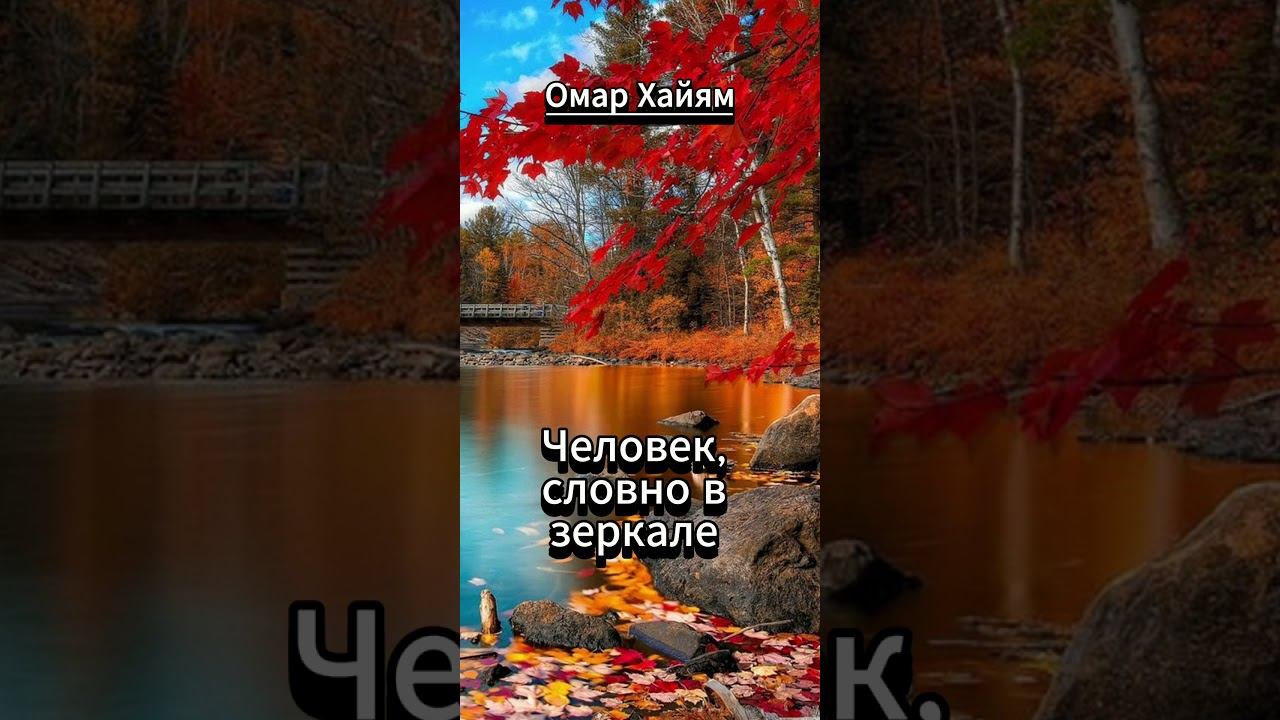 #shorts Мы — источник веселья смотреть онлайн