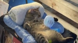 мы после работы в пятницу #shorts