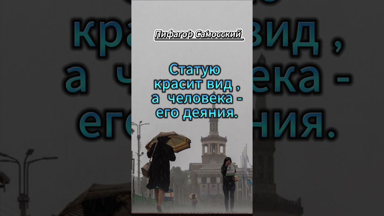 #shorts Статую красит вид #мудрость смотреть онлайн