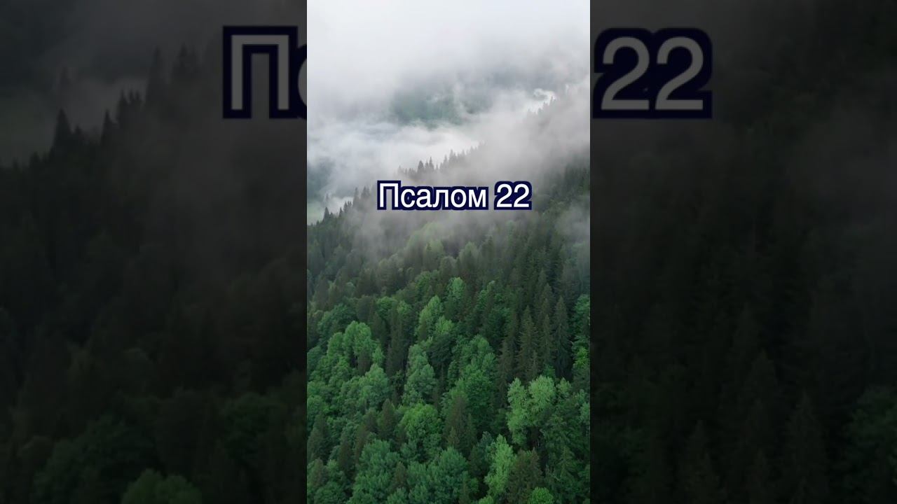 Псалом 22 смотреть онлайн