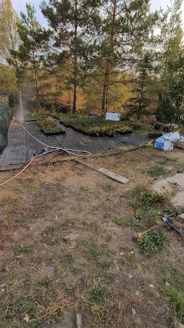 Сезон заканчивается, идут холода 🥲 смотреть онлайн