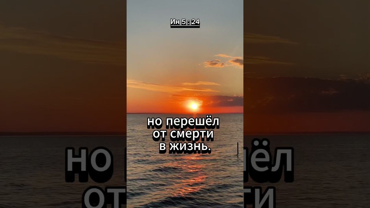 #shorts Ин 5 : 24 смотреть онлайн