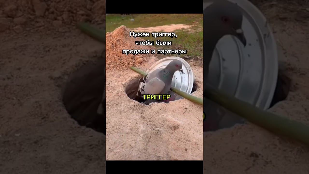 Триггеры (смотри комменты) смотреть онлайн