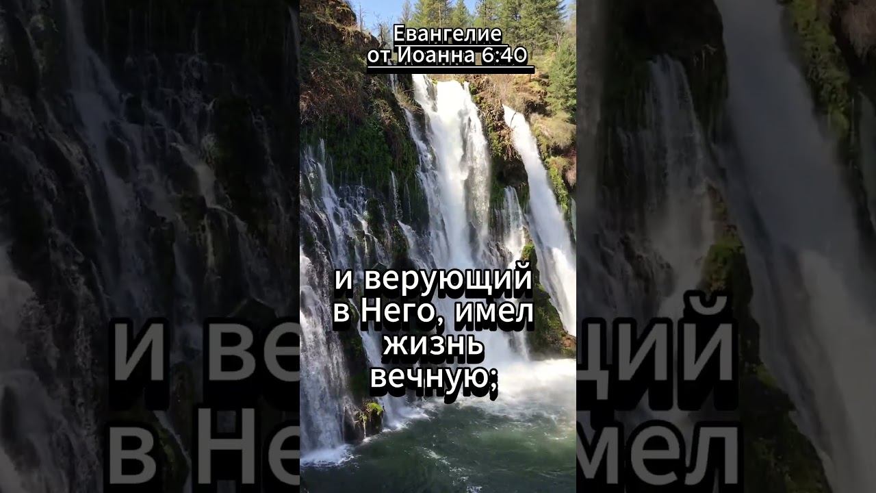 #shorts Евангелие от Иоанна 6:40 смотреть онлайн