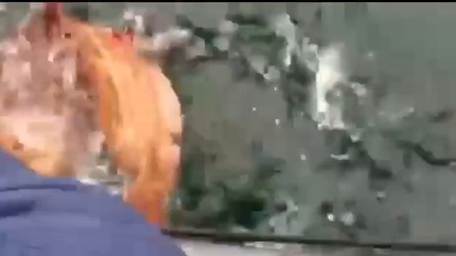 Рыбаки были в шоке