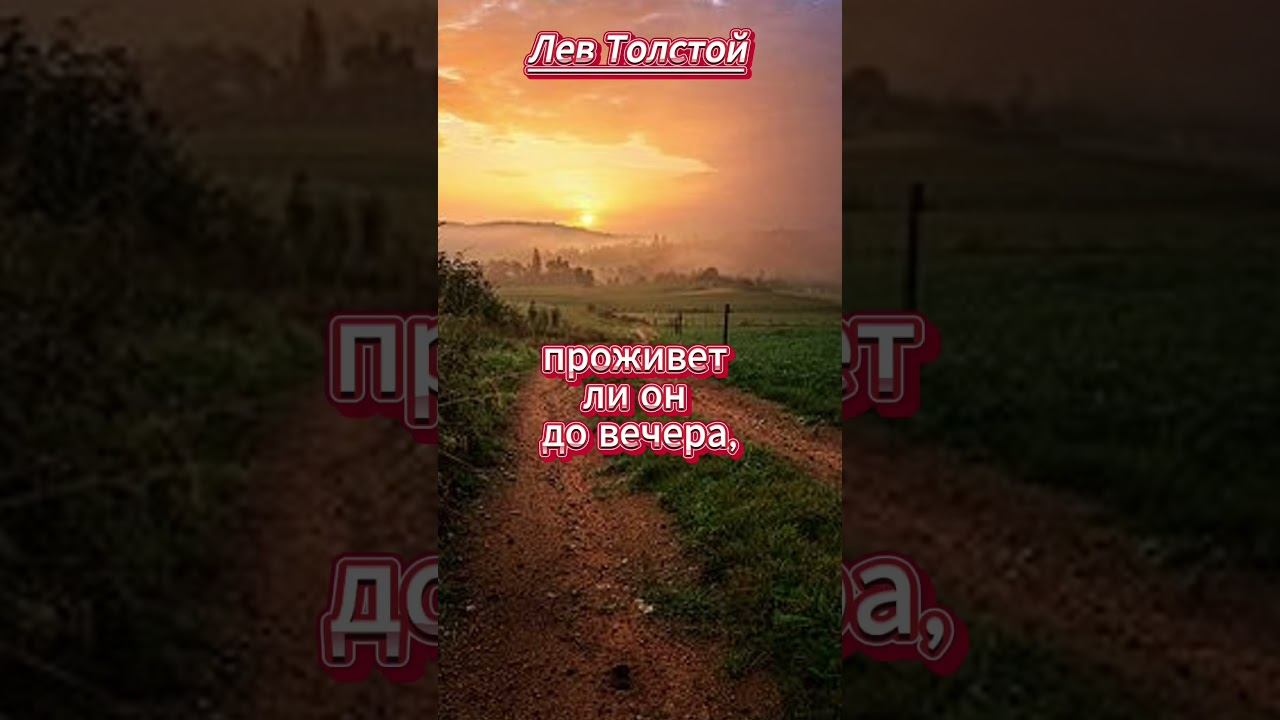 #shorts Все строят планы смотреть онлайн
