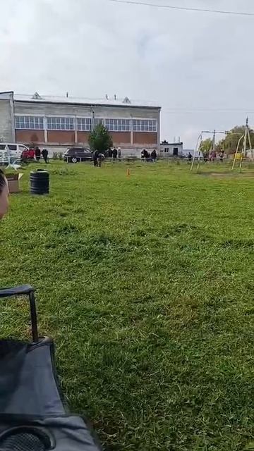 1 Отл. КЧК NEMAN v. Haus Kseni +++ №10. НОВОСИБИРСК 13 сентября`25 Моно немецких овчарок