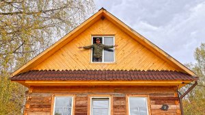 Холодный чердак превращается в тёплую мансарду. На хутор пришёл медведь. Золотая осень в деревне