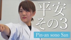 Пинан Соно Сан - Ката Карате Кёкусинкай (Kata Pinan Sono San - 平安三段 v.5