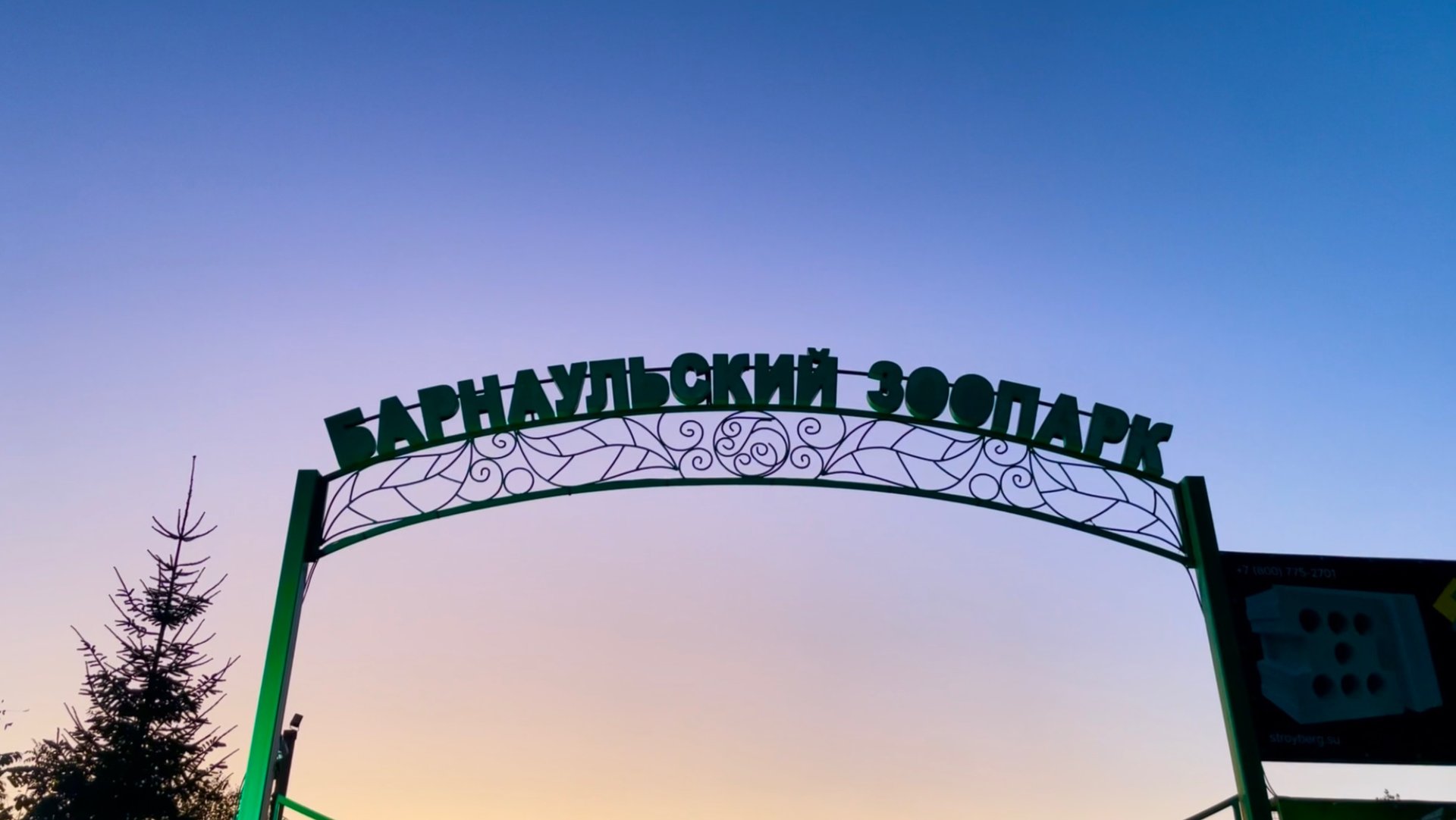 Удивительные животные Барнаульского зоопарка. Барнаул. Эпизод 44