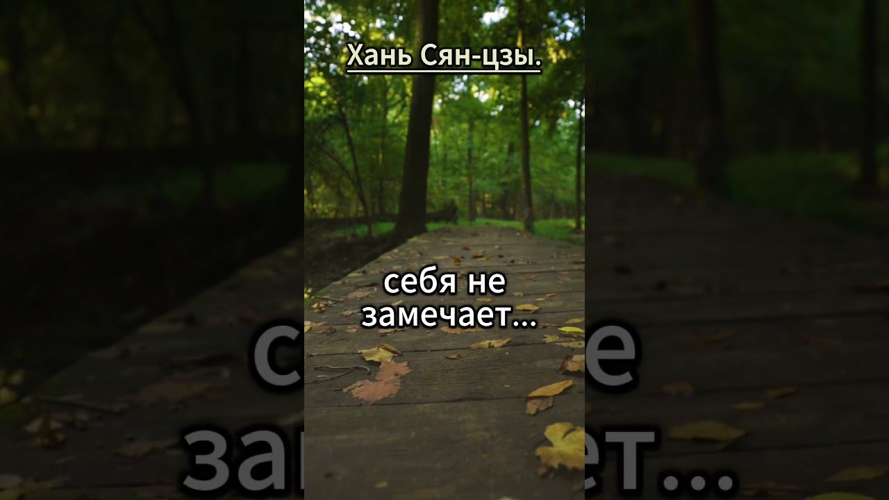 #shorts Хань Сян-цзы. Кто ищет виноватых.. смотреть онлайн