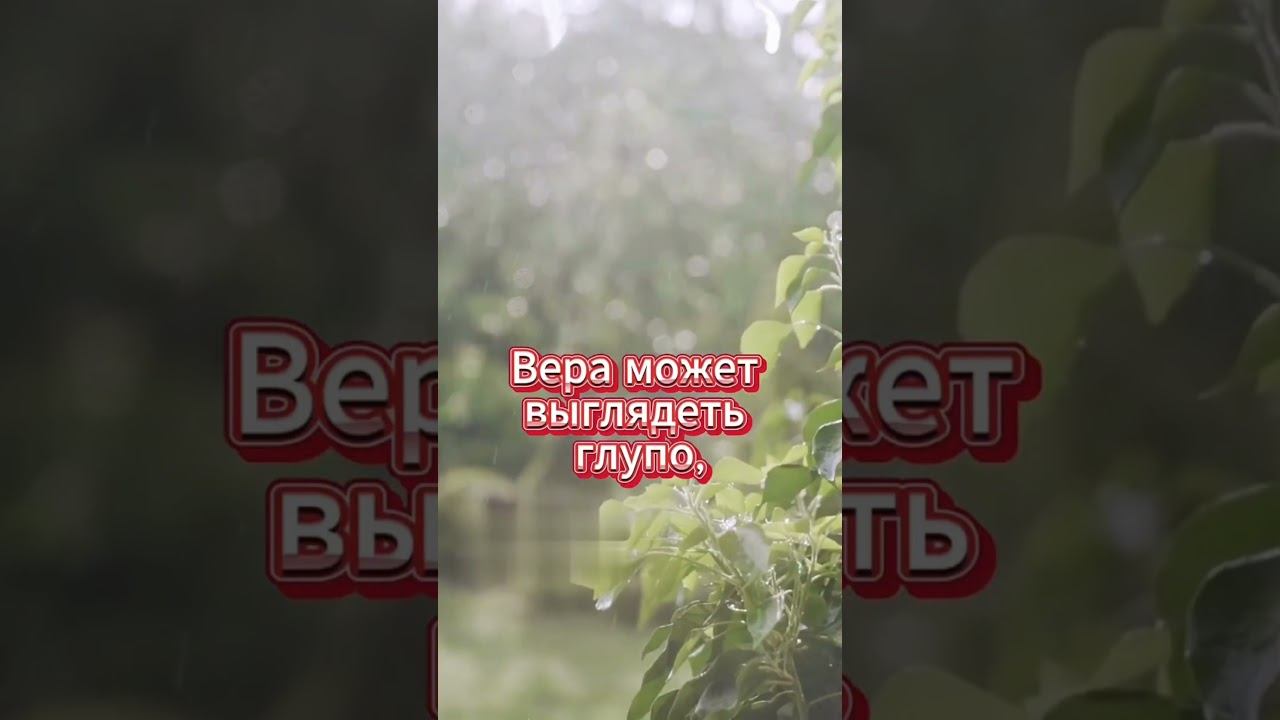 #shorts Вера смотреть онлайн