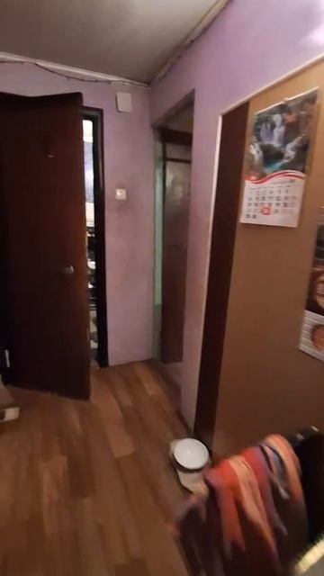 9186539 смотреть онлайн