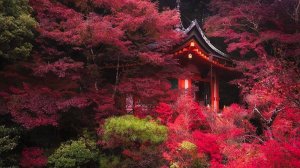 Самые красивые виды всей Японии!