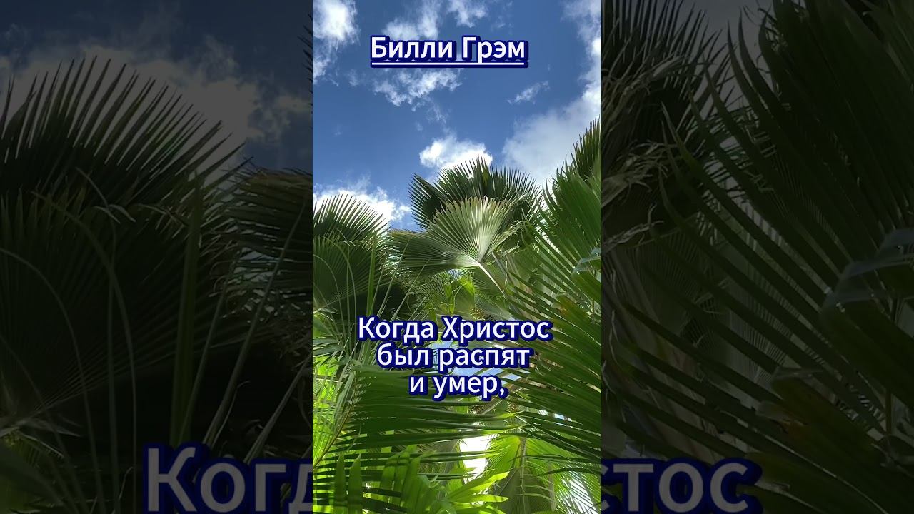 #shorts Билли Грэм смотреть онлайн