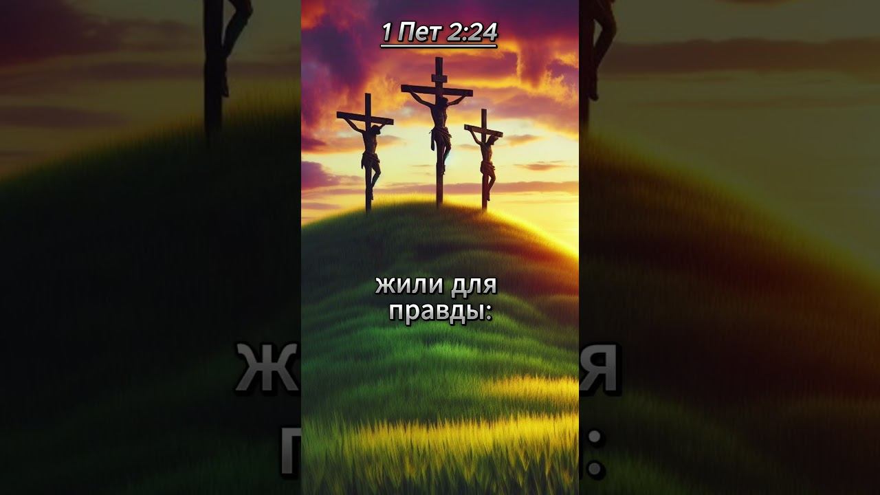 #shorts 1 Пет 2: 24 смотреть онлайн