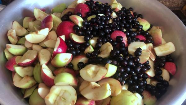 Яблочное повидло с ЧЕРНОЙ СМОРОДИНОЙ еще вкуснее!