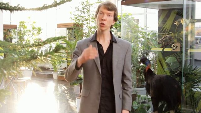 Ключ к воскрешению динозавров. Ярослав Попов. Палеонтологические истории смотреть онлайн