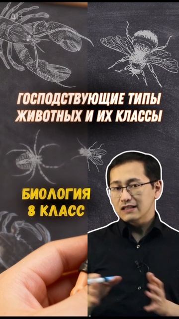 Хорошие оценки начинаются с Мектеп Online 🌟 Попробуй прямо сейчас #Учёба #Школьники