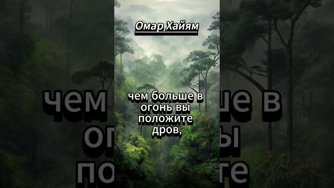 #shorts Не бойтесь дарить... Омар Хайям смотреть онлайн