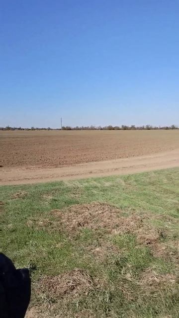 SHARMAX Tour Enduro 300