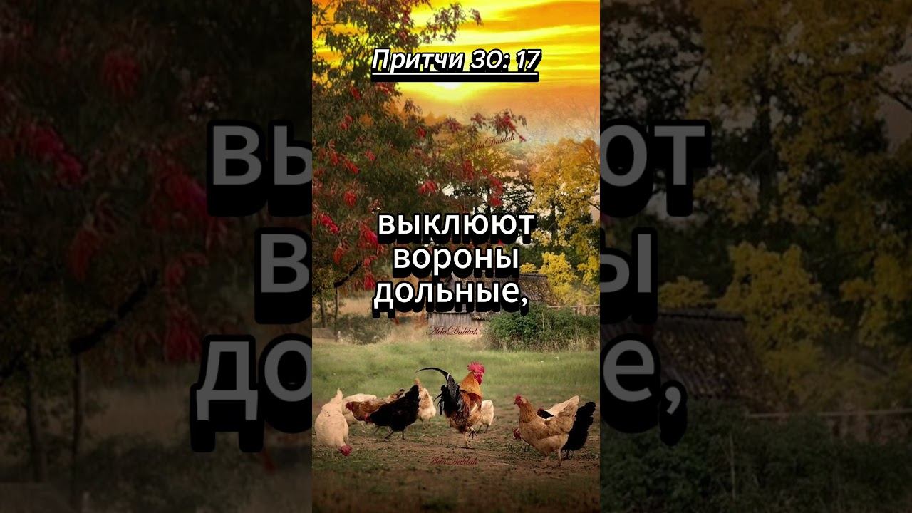#shorts. Притчи 30 : 17 смотреть онлайн