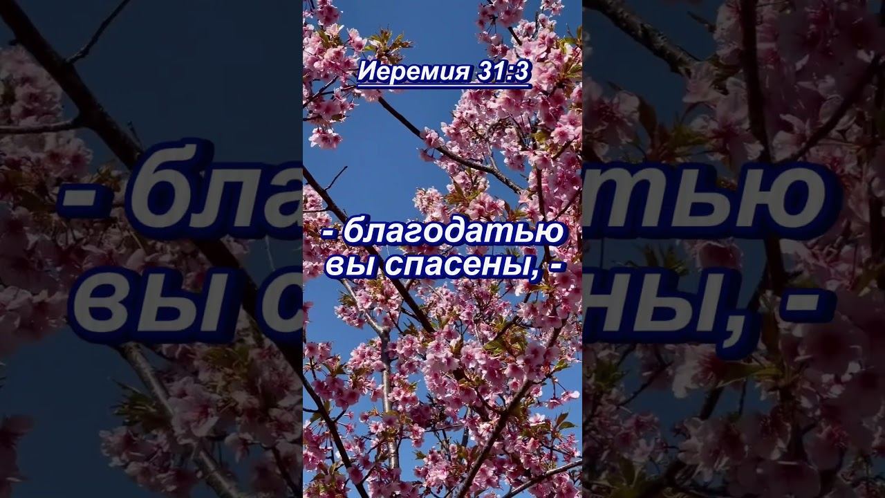 #shorts Иеремия 313 #мудрость смотреть онлайн