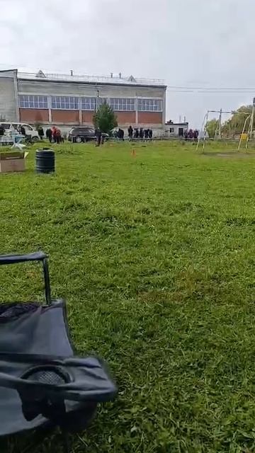 3 Отл. Atsel Hof MAXIMUS 2 +++ №8. НОВОСИБИРСК 13 сентября`25 Моно немецких овчарок