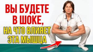 От ЭТОЙ мышцы зависит ВСЕ! Недержание мочи, выпирающий живот и боль в пояснице!