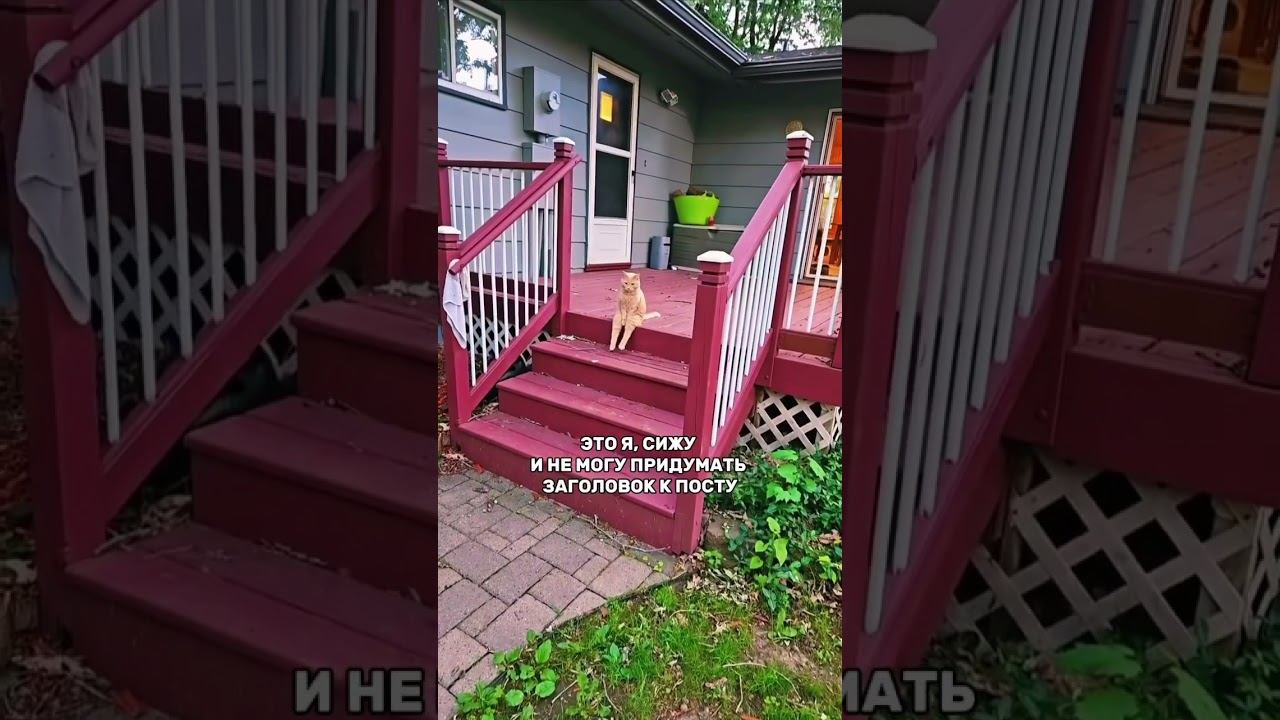 600 заголовков для постов и видео смотреть онлайн