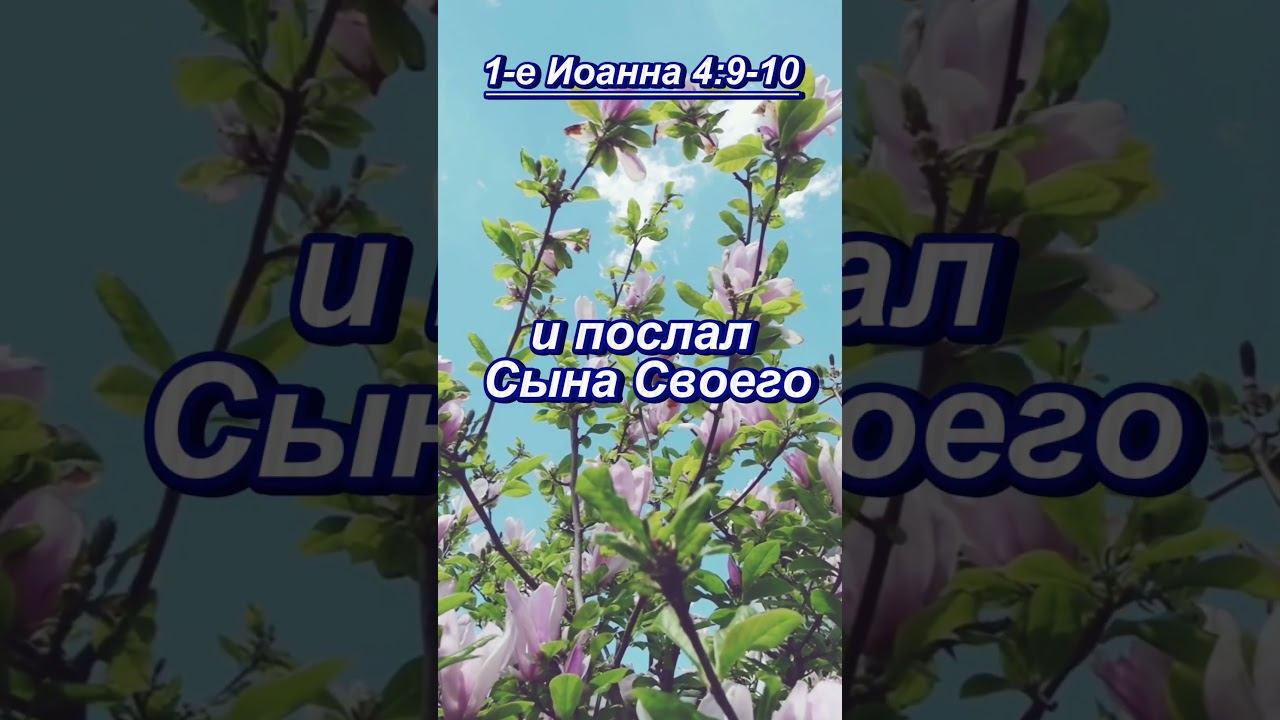 #shorts 1 е Иоанна 49 10 #мудрость смотреть онлайн