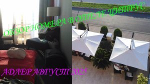 ОТЕЛЬ " ЦИТРУС".  АДЛЕР.ОБЗОР НОМЕРА " СТАНДАРТ СЕМЕЙНЫЙ ВИД НА РЕКУ". ОТДЫХ 2025.😲🛀🏢🌃📺🚽