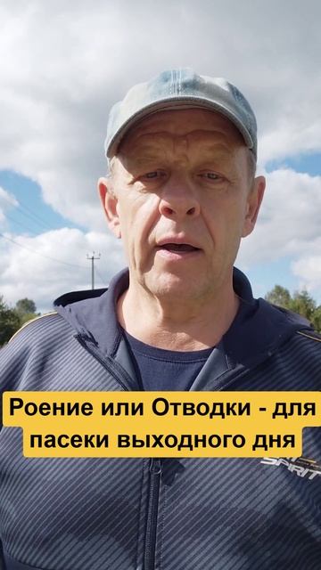 Разумный пчеловод и ленивая пасека. Роение или отводки смотреть онлайн