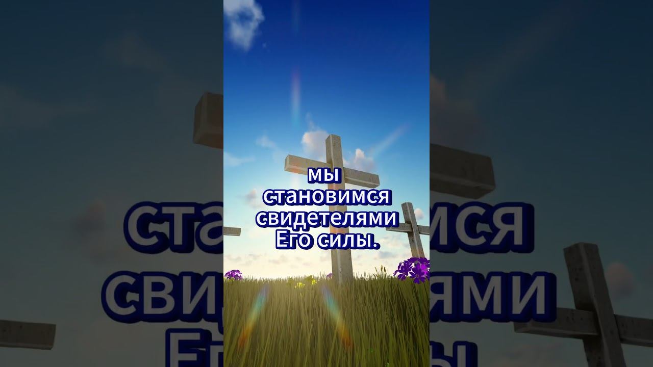 #shorts Верность в испытаниях смотреть онлайн