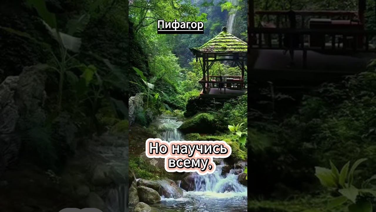#shorts Не делай никогда смотреть онлайн